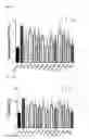 Fig. 19 - Pharmaceutical Composition for Anti-Obesity Comprising Complex Extracts, Including Saururi Chinensis Baill. Extract, Curcumae Longae Rhizoma Extract and Polygalae Radix Extract