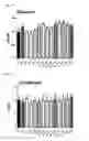 Fig. 25 - Pharmaceutical Composition for Anti-Obesity Comprising Complex Extracts, Including Saururi Chinensis Baill. Extract, Curcumae Longae Rhizoma Extract and Polygalae Radix Extract