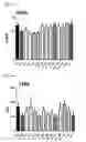 Fig. 26 - Pharmaceutical Composition for Anti-Obesity Comprising Complex Extracts, Including Saururi Chinensis Baill. Extract, Curcumae Longae Rhizoma Extract and Polygalae Radix Extract