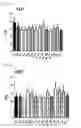Fig. 27 - Pharmaceutical Composition for Anti-Obesity Comprising Complex Extracts, Including Saururi Chinensis Baill. Extract, Curcumae Longae Rhizoma Extract and Polygalae Radix Extract