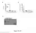 Fig. 26 - NGAL AND URINARY TRACT INFECTION