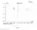 Fig. 02 - Method for producing autologous proteins