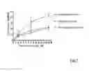Fig. 08 - Method for producing autologous proteins