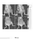 Fig. 09 - METHODS OF PREPARING AND USING SERICIN HYDROGEL