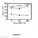 Fig. 03 - Methods of use for IL-22 promoting rejuvenation of thymic and bone marrow function