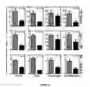Fig. 05 - Methods of use for IL-22 promoting rejuvenation of thymic and bone marrow function