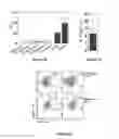 Fig. 08 - Methods of use for IL-22 promoting rejuvenation of thymic and bone marrow function