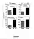 Fig. 10 - Methods of use for IL-22 promoting rejuvenation of thymic and bone marrow function