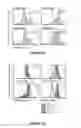 Fig. 11 - Methods of use for IL-22 promoting rejuvenation of thymic and bone marrow function
