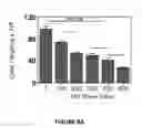 Fig. 15 - Methods of use for IL-22 promoting rejuvenation of thymic and bone marrow function
