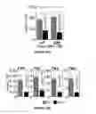 Fig. 19 - Methods of use for IL-22 promoting rejuvenation of thymic and bone marrow function