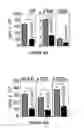 Fig. 20 - Methods of use for IL-22 promoting rejuvenation of thymic and bone marrow function