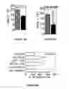 Fig. 21 - Methods of use for IL-22 promoting rejuvenation of thymic and bone marrow function