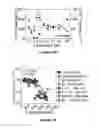 Fig. 22 - Methods of use for IL-22 promoting rejuvenation of thymic and bone marrow function