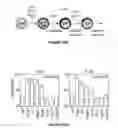Fig. 28 - Methods of use for IL-22 promoting rejuvenation of thymic and bone marrow function