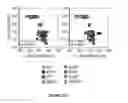 Fig. 29 - Methods of use for IL-22 promoting rejuvenation of thymic and bone marrow function