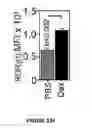 Fig. 31 - Methods of use for IL-22 promoting rejuvenation of thymic and bone marrow function