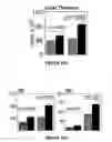 Fig. 34 - Methods of use for IL-22 promoting rejuvenation of thymic and bone marrow function