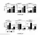 Fig. 35 - Methods of use for IL-22 promoting rejuvenation of thymic and bone marrow function