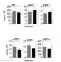 Fig. 37 - Methods of use for IL-22 promoting rejuvenation of thymic and bone marrow function