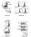 Fig. 42 - Methods of use for IL-22 promoting rejuvenation of thymic and bone marrow function