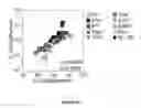 Fig. 44 - Methods of use for IL-22 promoting rejuvenation of thymic and bone marrow function