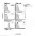 Fig. 45 - Methods of use for IL-22 promoting rejuvenation of thymic and bone marrow function