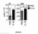 Fig. 47 - Methods of use for IL-22 promoting rejuvenation of thymic and bone marrow function