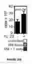 Fig. 55 - Methods of use for IL-22 promoting rejuvenation of thymic and bone marrow function