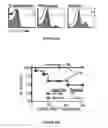 Fig. 58 - Methods of use for IL-22 promoting rejuvenation of thymic and bone marrow function