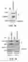 Fig. 02 - Methods and materials for treating cancers that express reduced levels of wild-type p53 polypeptides