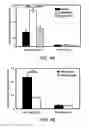 Fig. 13 - Methods and materials for treating cancers that express reduced levels of wild-type p53 polypeptides