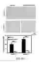 Fig. 24 - Methods and materials for treating cancers that express reduced levels of wild-type p53 polypeptides
