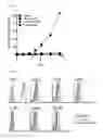 Fig. 02 - CD4 T cell vaccine and use thereof