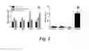 Fig. 03 - VACCINATION WITH RECOMBINANT MYCOBACTERIUM TUBERCULOSIS PknD ATTENUATES BACTERIAL DISSEMINATION TO THE BRAIN