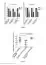 Fig. 08 - Hepatitis B vaccine