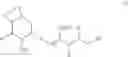 Fig. 12 - Sphingoglycolipid analogues