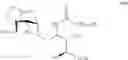 Fig. 26 - Sphingoglycolipid analogues