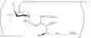 Fig. 31 - Sphingoglycolipid analogues