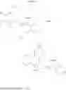 Fig. 42 - Sphingoglycolipid analogues