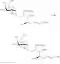 Fig. 50 - Sphingoglycolipid analogues