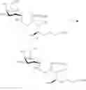 Fig. 55 - Sphingoglycolipid analogues