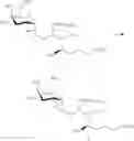 Fig. 56 - Sphingoglycolipid analogues
