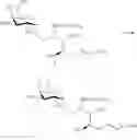 Fig. 60 - Sphingoglycolipid analogues