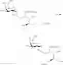 Fig. 66 - Sphingoglycolipid analogues
