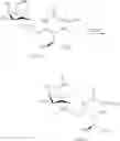 Fig. 67 - Sphingoglycolipid analogues