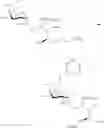 Fig. 71 - Sphingoglycolipid analogues