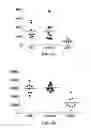 Fig. 03 - METHODS FOR RESTORING CORTICOSTEROID SENSITIVITY