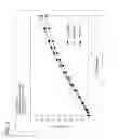 Fig. 04 - NOVEL FORMULATION OF CILOSTAZOL, A QUINOLINONE-DERIVATIVE USED FOR ALLEVIATING THE SYMPTOM OF INTERMITTENT CLAUDICATION IN PATIENTS WITH PERIPHERAL VASCULAR DISEASE