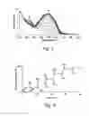 Fig. 02 - DRUG DELIVERY COMPOSITION